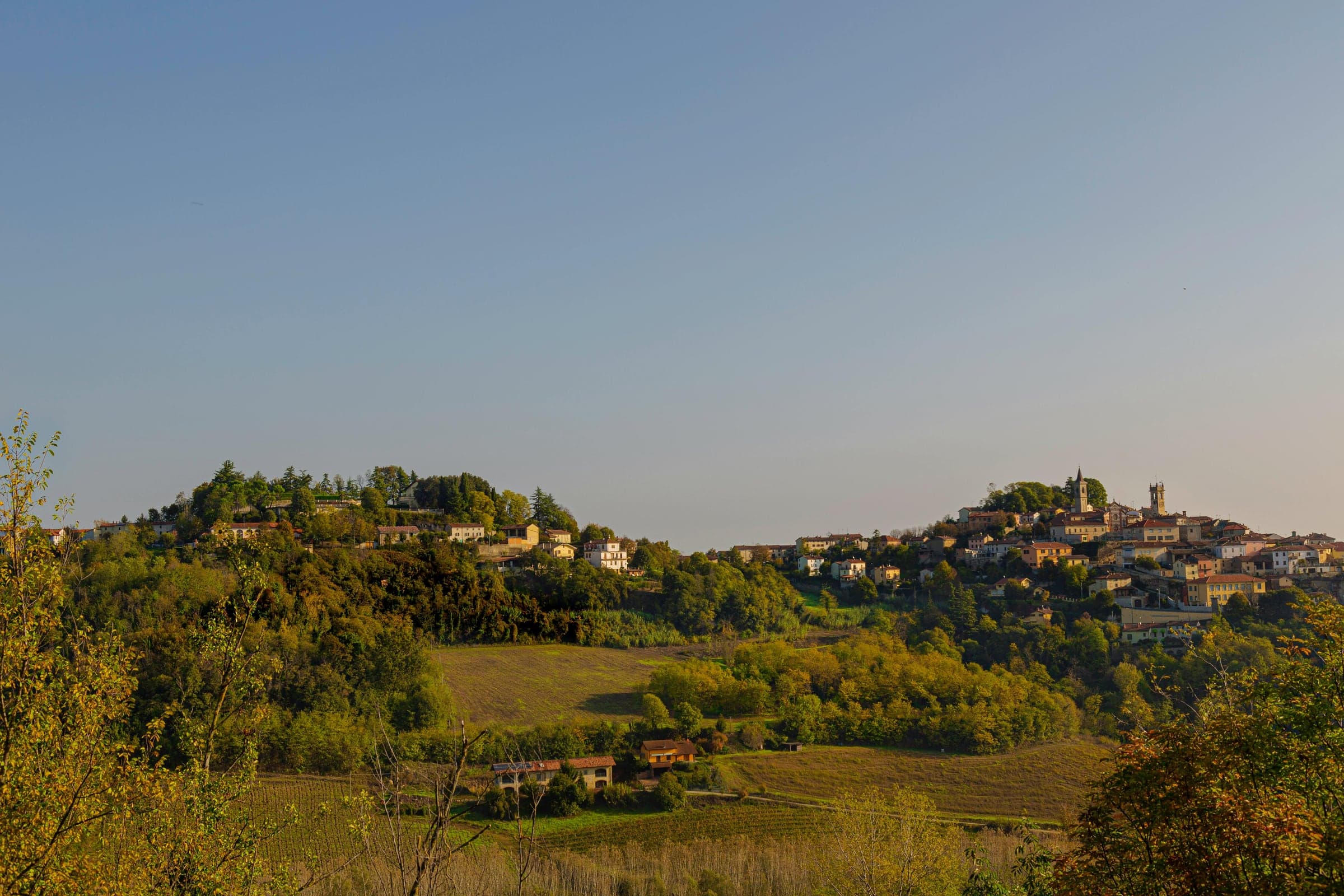 Colli Berici