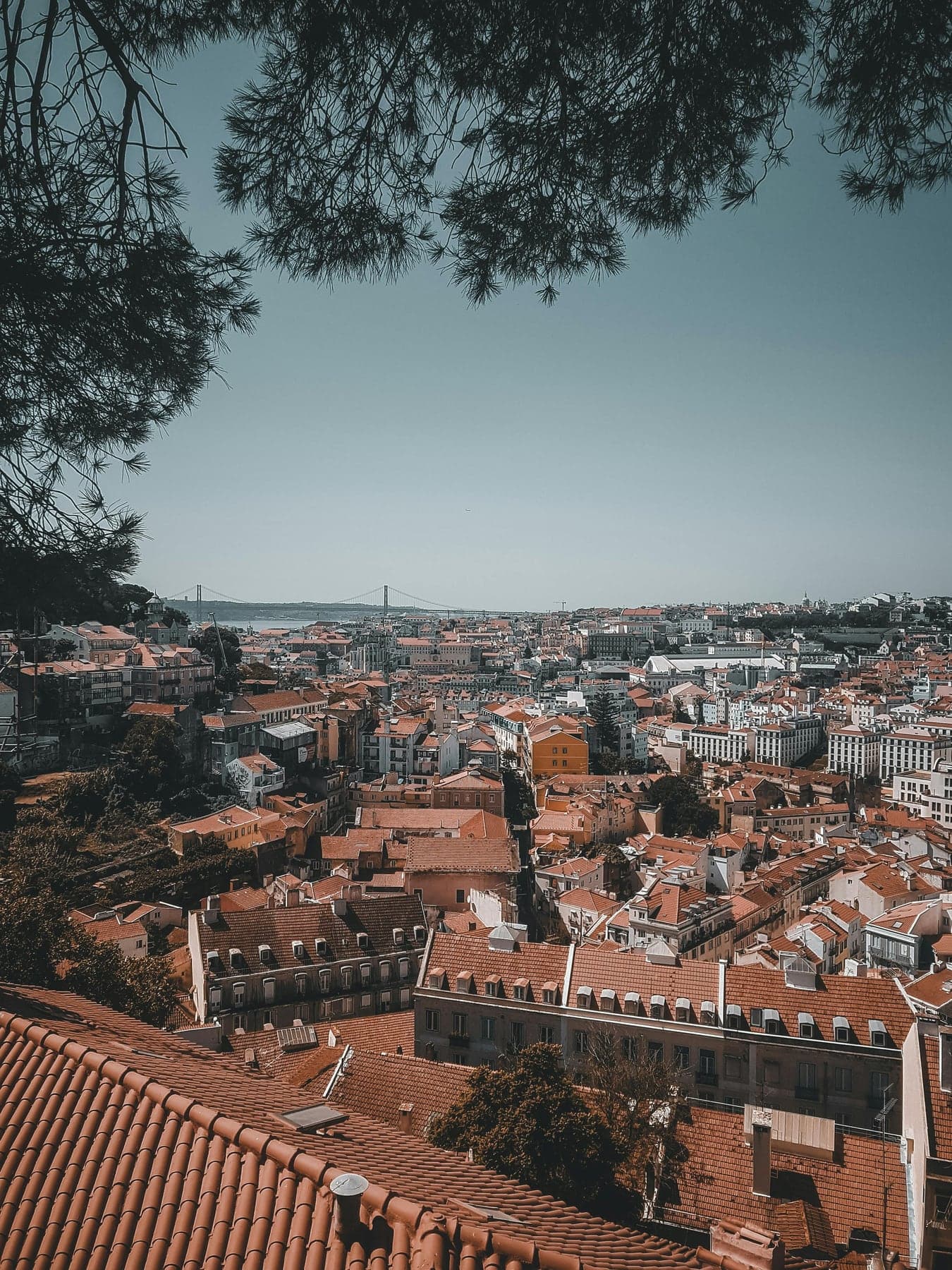 Därför hittar du så många fyndviner i Portugal